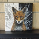 Fox black & white