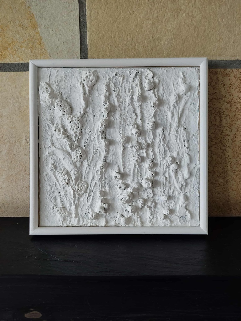 Bloemen in frame