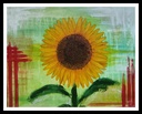 Zonnebloem 