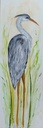 Reiger
