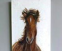 Paard