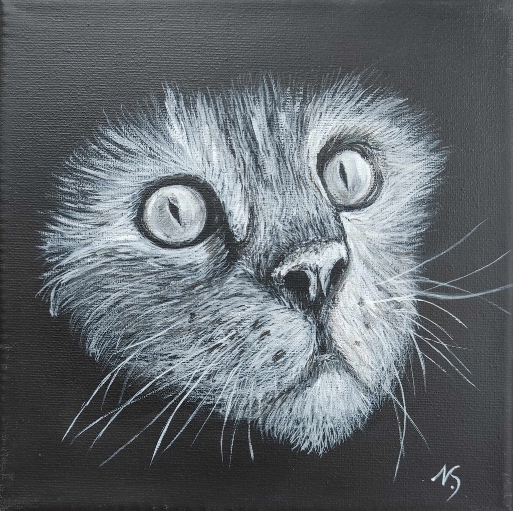 Poes zwart-wit