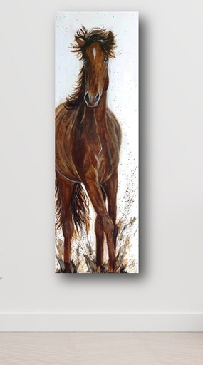 Paard