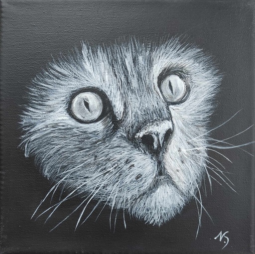 Poes zwart-wit